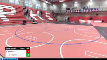132 lbs Champ. Round 1 - Leonardo Hernandez, Granger vs Alexander Mendez, Othello
