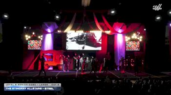 The Stingray Allstars - Marietta - Steel [2025 L6 Senior Coed - Large Day 2] 2025 ASC Battle Under the Big Top Grand Nationals