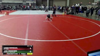 76 lbs Cons. Round 2 - Jaxon Romsdahl, St. James vs Jade Wegscheid, NYM (New York Mills)