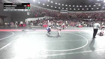 125 lbs Cons. Round 2 - Teegan Tritz, Assumption/ Pacelli vs Cayson Vobian, Janesville Youth Wrestling Club
