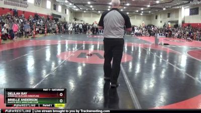 65 lbs Round 2 - Brielle Anderson, Dakota Boyz Wrestling Club vs Delilah Ray, American Outlaws Wrestling