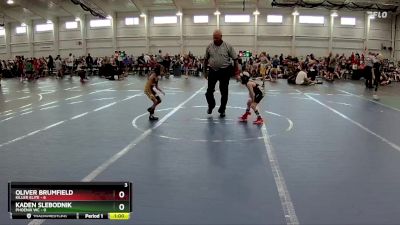 44 lbs Round 2 (8 Team) - Oliver Brumfield, Killer Elite vs Kaden Slebodnik, Phoenix WC