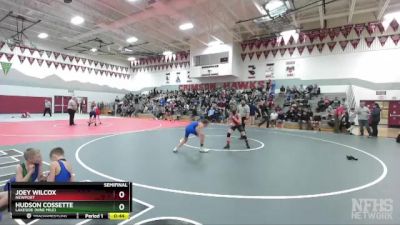 100 lbs Semifinal - Hudson Cossette, Lakeside (Nine Mile) vs Joey Wilcox, Newport