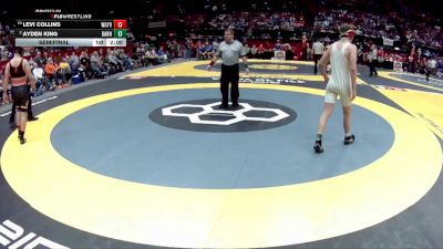 D3-165 lbs Semifinal - Ayden King, Barnesville vs Levi Collins, Waynesville