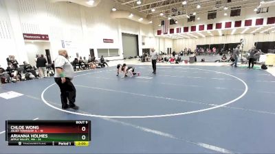100 lbs 2nd Wrestleback (8 Team) - Arianna Holmes, Apple Valley, MN vs Chloe Wong, Joliet Township, IL