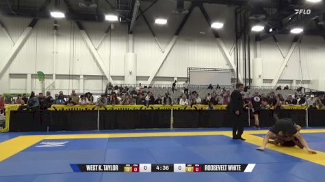 ROOSEVELT WHITE vs WEST K. TAYLOR 2024 World IBJJF Jiu-Jitsu No-Gi Championship