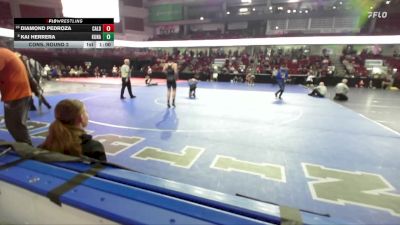 165 lbs Cons. Round 2 - Diamond Pedroza, Caldwell vs Kai Herrera, Kuna