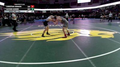 138 lbs Cons. Round 4 - Christian Demars, Centennial vs Kayden Gower, Mountain View