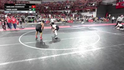 210 lbs Quarterfinal - Ameliano Rodriguez, B.A.M Training Center vs Owen Sauer, Lakeland Wrestling Club