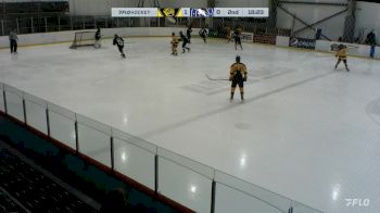 Replay: Home - 2024 BWC Gold vs Wenatchee | Feb 17 @ 1 PM