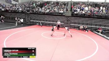 132 lbs Cons. Round 1 - Seiya Peatross, Clearfield vs Morgan Ostler, Salem Hills