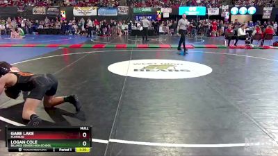 AA - 160 lbs Semifinal - Gabe Lake, Flathead vs Logan Cole, Billings Senior High School