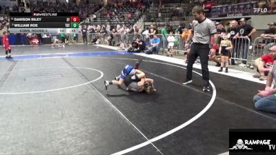 49 lbs Cons. Round 2 - Dawson Riley, SW Timberwolves vs William Roe, Topeka Blue Thunder