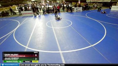 56 lbs Quarterfinal - Gavin Valesky, Swamp Monsters Wrestling Club vs Julius Murphy, The Grappling Group