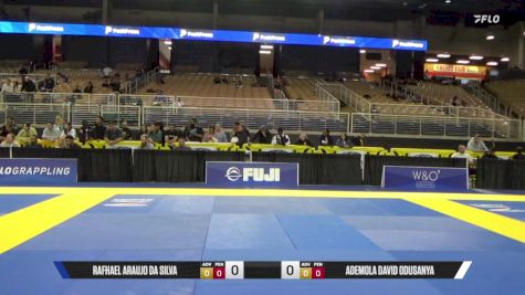 Ademola David Odusanya vs Rafhael Araujo Da Silva 2025 Pan Jiu Jitsu IBJJF Championship