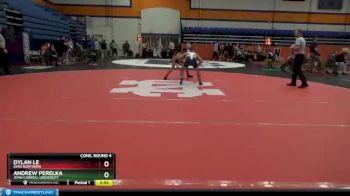 133 lbs Cons. Round 4 - Andrew Perelka, John Carroll University vs Dylan Le, Ohio Northern