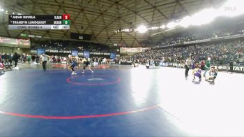Boys 4A 144 lbs Cons. Round 4 - Aidan Devela, Bonney Lake vs Trandyn Lundquist, Mead