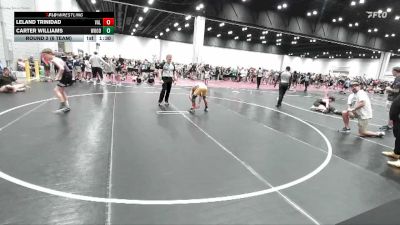 111 lbs Round 2 (6 Team) - Leland Trinidad, WTF- Valebound vs Carter Williams, MatLife