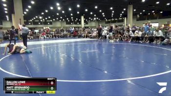 138 lbs Round 1 (6 Team) - Matt Spignardo, Team Palmetto State vs Dallon Lowe, Refinery WC