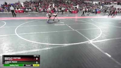 87 lbs Quarterfinal - Aaron Much, Cadott vs Bentley Potter, River Valley