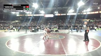 106 lbs Champ. Round 3 - Bradley Nelson, Elko vs Burke Blue, Centennial