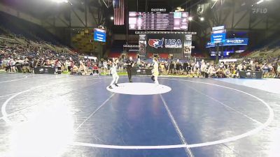 106 lbs Cons 32 #2 - Chloe Wong, Illinois vs Mia Skinner, Ohio