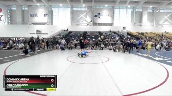 106 lbs Quarterfinal - Dominick Arena, Wayne Wrestling Club vs Aiden Culshaw, Club Not Listed