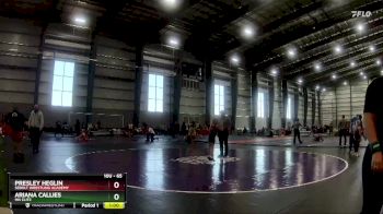 65 lbs Quarterfinal - Presley Heglin, Sebolt Wrestling Academy vs Ariana Callies, MN Elite