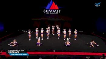 Pittsburgh Pride All Stars - Royal Cats [2025 L4.2 Senior - Small Prelims] 2025 The Summit
