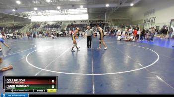 165 lbs Semifinal - Cole Nelson, Madison Wrestling vs Henry Hanssen, Wasatch
