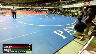 125 lbs Semis & Wb (16 Team) - Sean Cain, St. Vincent vs Tyler Japp, Buena Vista