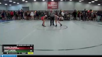 77 lbs Champ. Round 1 - Damien Tillison, Scanlan Wrestling Academy vs Trent Carter, Virginia Team Predator