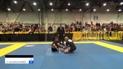 JEFF MACATANGAY vs ANDRE LUIZ CECILIO RORIZ PONTES 2023 World IBJJF Jiu-Jitsu No-Gi Championship