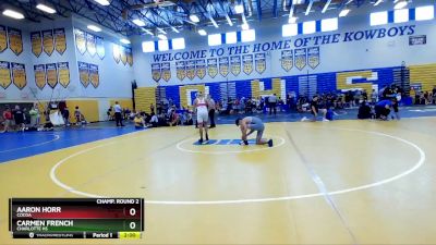 120 lbs Champ. Round 2 - Aaron Horr, Cocoa vs Carmen French, Charlotte Hs