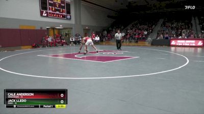 165 lbs Finals (2 Team) - Cale Anderson, Wisconsin vs Jack Lledo, Ohio