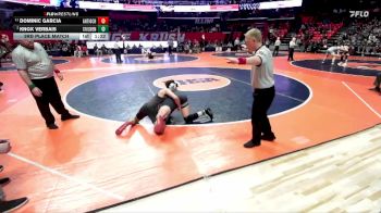 2A 150 lbs 3rd Place Match - Dominic Garcia, Antioch vs Knox Verbais, Bethalto (Civic Memorial)