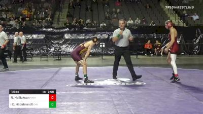 125 lbs Consolation - Nolan Hellickson, Harvard vs Drew Hildebrandt, Central Michigan