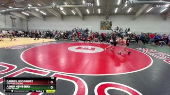 132 lbs Cons. Round 3 - Gabriel Rodriguez, Cheyenne Central vs Asher Newberry, Lewis-Palmer