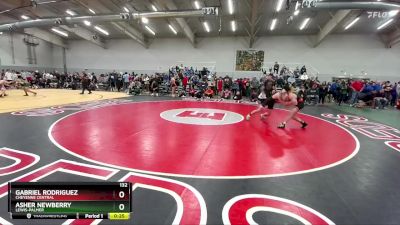 132 lbs Cons. Round 3 - Gabriel Rodriguez, Cheyenne Central vs Asher Newberry, Lewis-Palmer