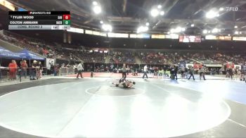 106 lbs Cons. Round 3 - Tyler Wood, Sandpoint vs Colton Ammann, Nampa Christian