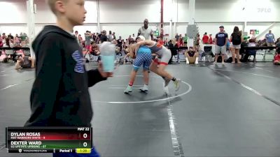 110 lbs Round 3 (6 Team) - Dexter Ward, U2 Upstate Uprising vs Dylan Rosas, Mat Warriors White