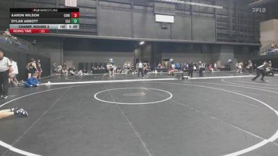 157 lbs Champ. Round 3 - Aaron Wilson, Concordia (Neb.) vs Dylan Abbott, Carl Albert State