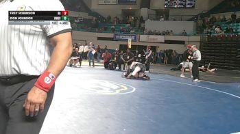 215 lbs Semifinal - Trey Robinson, Rock Hill vs Zion Johnson, Westwood