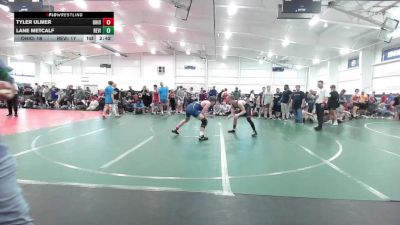 139 lbs Consi Of 4 - Tyler Ulmer, Ohio Gold-HS vs Lane Metcalf, Revival-HS