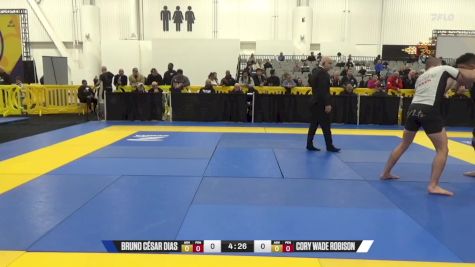 Cory Wade Robison vs Bruno César Dias 2024 World IBJJF Jiu-Jitsu No-Gi Championship