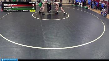 157 lbs Cons. Round 3 - Dominic Piazza, Virgin Valley vs Robert Adams, Green Valley