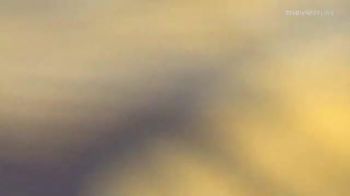 182 lbs Consi Of 16 #2 - Matthew Waddell, Georgia vs Paul Shaner, Idaho