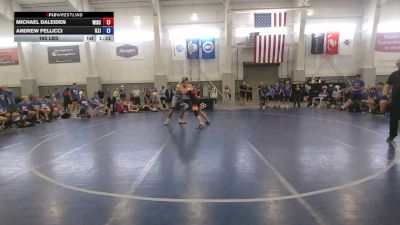 165 lbs Michael Daleiden, Wisconsin vs Andrew Pellicci, Illinois