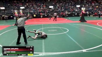 84 lbs Quarterfinal - Hayden Weiss, DAB1 vs Dominic Difilippo, ROGA