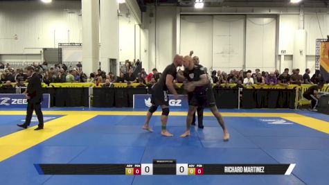 Richard Martinez vs Michael A. Petruzzi 2025 World IBJJF Jiu-Jitsu No-Gi Championship